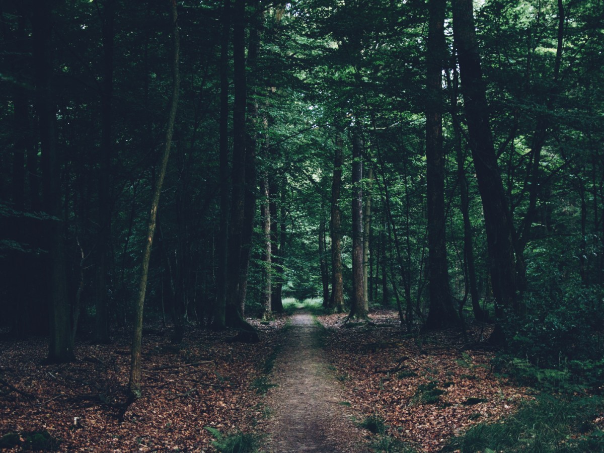 Mother earth is healing.. (Part&nbsp;1)