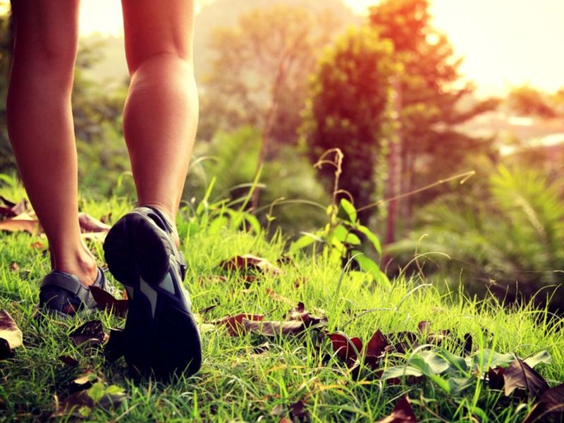 Mother earth is healing.. (Part&nbsp;2)